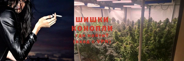 сатива Алексин
