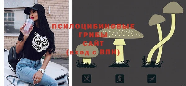 дживик Наволоки