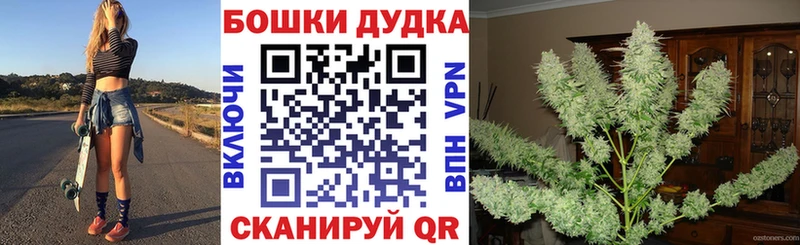 Конопля план  маркетплейс как зайти  Североуральск  что такое наркотик  mega ТОР 